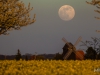 Der Vollmond geht auf